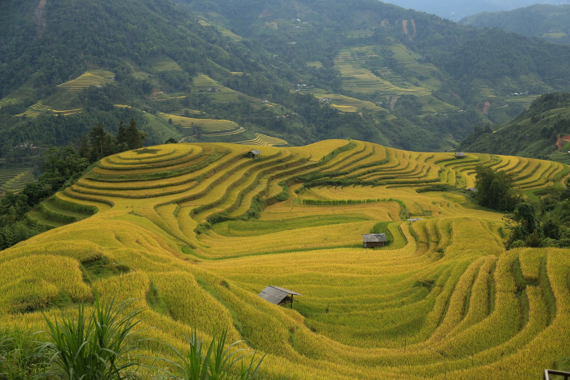 Photo by NAM CZ on Unsplash